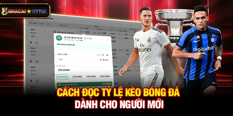 Cách đọc tỷ lệ kèo bóng đá dành cho người mới